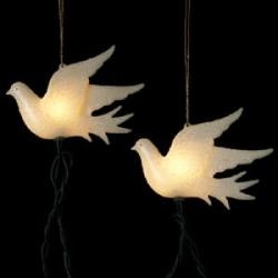 Dove String Lights
